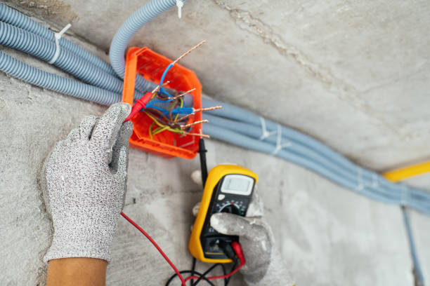 Best Local Electrician Companies  in Wolfhurst, OH